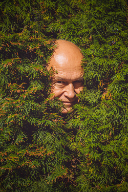 Portret Andrzej Pągowskiego - głowa wystaje z drzewa